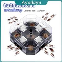 ราคา Ayo ที่ดักแมลงสาบ ที่ดักแมลงสาบ กล่องดักแมลงสาบ cockroach trap (42318535523)
