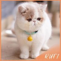 ราคา RUFI ลูกกระพรวน กระดิ่งสำหรับใส่ปลอกคอแมว กระพรวน กระดิ่ง น้องแมวหลากสี มีราคาส่ง Cat Ring (24516922703)
