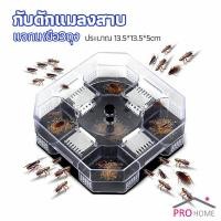ราคา ที่ดักแมลงสาบ ที่ดักแมลงสาบ กล่องดักแมลงสาบ cockroach trap (19729977823)