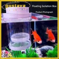 ราคา GUSTAVA กล่องฟักไข่ลอย ตาข่ายพลาสติก Aquarium Breeder ลอยปลา Breeding กล่องแยก กุ้ง Guppy โปร่งใสที่ถอดออกได้ Fish Hatchery Incubator Breeder กล่อง (55061162327)