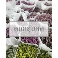 ราคา ส่งด่วน กทม ปริมณฑล สุ่ยสด ดอกไม้สด ดอกสุ่ยสด ดอกสุ่ยแห้ง (51111945299)