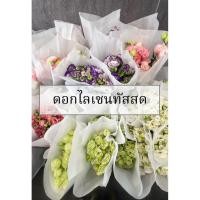 ราคา ส่งด่วน กทม ปริมณฑล ดอกไลเซนทัสสด ดอกไม้สด ดอกไม้ใส่แจกัน ไลเซนทัสสด (25798233686)