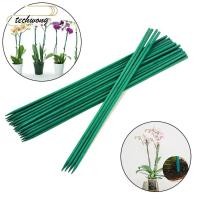 ราคา TECHWONG 10 ชิ้นดอกไม้ Sticks ที่ถอดออกได้ 40 ซม พืชสนับสนุน Stick ทนทานไม้อุปกรณ์เสริมสวน Canes Gardener (54959598765)