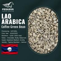 ราคา Pegasus Lao Arabica Green coffee bean สารกาแฟอราบิก้า ลาว คัดพิเศษ ขนาด 1 กิโลกรัม (29984761567)