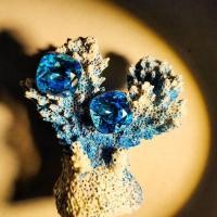 ราคา ต่างหู Blue Swarovski โดดเด่นสะดุดตาทันทีที่สวมใส่ (43221593763)