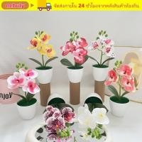 ราคา เนบูลี่ กล้วยไม้ประดิษฐ์บอนไซ กระถางดอกไม้สีขาวหลายบานจําลองกล้วยไม้ผีเสื้อ ดอกไม้ประดิษฐ์ ทําเอง พลาสติกดอกไม้ปลอมตกแต่งบ้าน (52010895900)