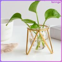 ราคา 1 ชุดแจกันแก้วตกแต่งน้ําแจกันพืช Terrarium พร้อมขาตั้งแจกันหลอดไฟ Planter kevvga (56359407921)
