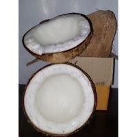 ราคา มะพร้าวกะทิ หอม มัน เนื้อฟู อร่อยพร้อมส่ง (18414864449)