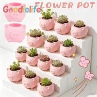 ราคา รังหวาน กระถางต้นไม้สวนในร่มรูปหมูน่ารักพิมพ์ลาย 3 มิติ การ์ตูนลูกหมูกระบองเพชรการเพาะปลูกกระถางดอกไม้ รังแสนสบาย (50159914718)