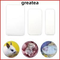 ราคา ยอดเยี่ยม กระดานทําความเย็นหนูแฮมสเตอร์ กระดานทําความเย็นสัตว์เลี้ยงเงินอลูมิเนียม พลาสติก อุปกรณ์กระต่ายหนูแฮมสเตอร์เย็นแผ่นน้ําแข็งสัตว์เลี (53307273732)
