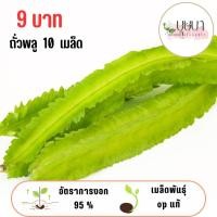 ราคา เมล็ดถั่วพลู 9บาท 10เมล็ด (42855503486)