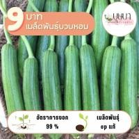 ราคา เมล็ดพันธุ์บวบหอม 9บาท 20เมล็ด (29161787930)