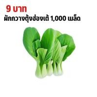 ราคา เมล็ดพันธุ์ผักกวางตุ้งฮ่องเต้ 9บาท 1000เมล็ด (28376280273)