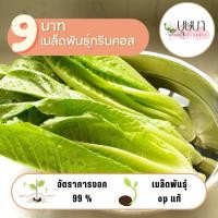 ราคา เมล็ดผักกรีนคอส 9 บาท 100 เมล็ด (28611784461)
