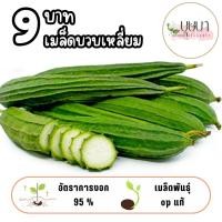 ราคา เมล็ดบวบเหลี่ยม 9บาท 20เมล็ด (41455493668)