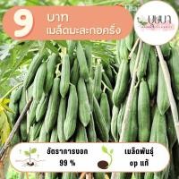 ราคา เมล็ดมะละกอครั่ง 9 บาท 20 เมล็ด (27219899820)