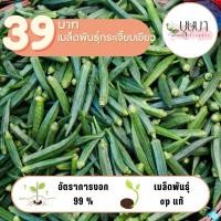ราคา เมล็ดพันธุ์กระเจี๊ยบเขียว 39บาท 200เมล็ด (26661789014)
