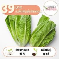 ราคา เมล็ดพันธุ์กรีนคอส 39บาท 500เมล็ด (27061793011)