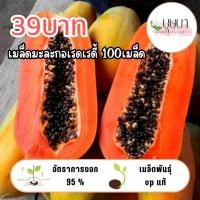 ราคา เมล็ดมะละกอเรดเลดี้ 39บาท 100เมล็ด (41105898832)