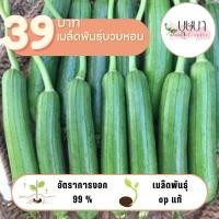ราคา เมล็ดพันธุ์บวบหอม 39บาท 100เมล็ด (29711791485)