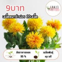 ราคา เมล็ดดอกคำฝอย 9บาท 10เมล็ด (25645694613)