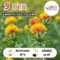 ราคา เมล็ดพันธุ์ดอกคำฝอย 9บาท (48152367187)