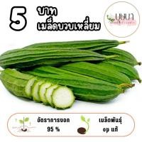 ราคา เมล็ดบวบเหลี่ยม 5บาท 5เมล็ด (41655502578)