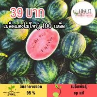ราคา เมล็ดแตงโมใหญ่ เนื้อแดง 100เมล็ด (57750238356)