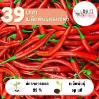 ราคา เมล็ดพันธุ์พริกชี้ฟ้า 39บาท 1 000เมล็ด (26811792894)