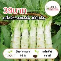 ราคา เมล็ดผักกาดสลัดต้น 39บาท 400เมล็ด (43455515556)