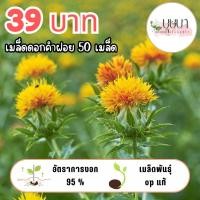ราคา เมล็ดพันธุ์ดอกคำฝอย 39บาท (53102351702)