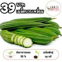 ราคา เมล็ดบวบเหลี่ยม 39บาท 100เมล็ด (44105498107)