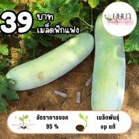 ราคา เมล็ดพันธุ์ฟักแฟง 39บาท 100เมล็ด (41205506770)