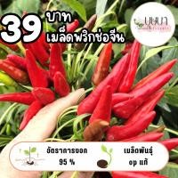ราคา เมล็ดพริกช่อจีน 39บาท 200เมล็ด (28887861911)