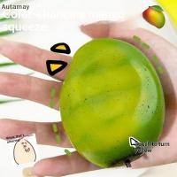 ราคา Autamay เปลี่ยนสีมะม่วงความเครียด Ball นุ่มบีบ Fidget ของเล่น Anti ความวิตกกังวลบรรเทาแบบพกพาสําหรับการเดินทางยาว Waiting Time ใหม่ (42681771946)