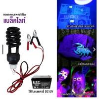 ราคา หลอดแบล็คไลท์ DC12V 45W สว่างพิเศษ ล่อมากกว่าเดิม หลอดไฟล่อแมงดา ไฟล่อแมลง ทรงทอนาโด ไฟแบ็คไลท์ ไฟแบตเตอรี่ 12V ไฟดัก (54612137778)
