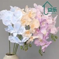 ราคา ANTINON Phalaenopsis 69 ซม บ้านซัพพลายดอกไม้ประดิษฐ์ (55362461152)