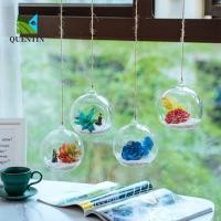 ราคา QHENTIN แขวนแจกันแก้ว ใสแขวน Tealight ผู้ถือ ปลูกขวด Ball 6 8 10 12 15 ซม แก้ว Borosilicate Succulents พืช Ball คอนเทนเนอร์งานแต่งงาน (54061622995)