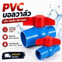 ราคา MACNUM บอลวาล์ว PVC ขนาด 1 3 นิ้ว สีฟ้า ด้ามผีเสื้อ แบบมือจับ เบ้าสวม หมุนง่าย แพ็ค1ตัว (18285243664)
