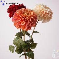 ราคา มาสมีโต ดอกรักเร่เทียม ดอกเบญจมาศไหมสีชมพู ดอกไม้ปลอม พืชเทียมประดับดอกไม้ ตกแต่งกลางแจ้ง (57909920102)