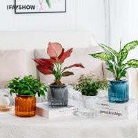 ราคา IFAYSHOW กระถางดอกไม้ กระถางต้นไม้ไฮโดรโปนิกส์พลาสติกแบบถอดได้ รดน้ําด้วยตนเอง Mini Succulent Planter แจกันตั้งโต๊ะ (51511270125)