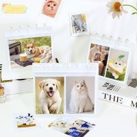 ราคา อัลบั้มรูป SEEO ที่ใส่การ์ด PP เรียบง่าย 3 4 5 6 นิ้วรูปถ่ายหลวมออกแบบรูเห็ดการ์ด Binder ของตกแต่งโต๊ะ (49612230042)
