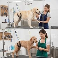ราคา LDVG Pet Grooming Stand Harness ลวดเหล็กแข็งแรงสุนัข Grooming Restraint Strap Anti Escape สีดํายืดหยุ่น 19 21in Cat Grooming เชือกคงที่สัตว์เลี้ยงกรูมมิ่ง (55162122262)
