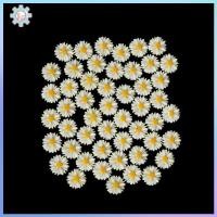 ราคา ซ้าย 50 ชิ้นเดซี่สีขาวเรซิ่น flatba cabochon เครื่องประดับ DIY ตกแต่ง GHT (57160154298)