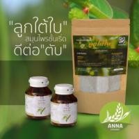 ราคา ชาชงผสมลูกใต้ใบ ช่วยบำรุงตับ ลดอาการตับอักเสบ ขับสารพิษออกจากตับ (11810770350)