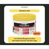 ราคา อาหารลูกป้อน NutriBird A19 สูตรไขมันสูง ฝาเหลือง ขนาด 250กรัม (47109341897)