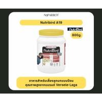 ราคา Nutribird A19 สูตรโปรตีนไขมันสูง บรรจุ 800 กรัม (56309446920)
