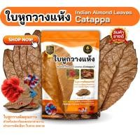 ราคา ใบหูกวางแห้ง คัดเกรดพรีเมียม ใบใหญ่ เรียบ สะอาด สำหรับปลากัดและปลาสวยงาม บรรจุ 10 ใบ 20 ใบ (47008250504)