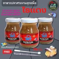 ราคา อาหารปลา ไรแดง UHT สำหรับ ปลาหางนกยูง ปลากัด ปลาสวยงาม (21071362817)