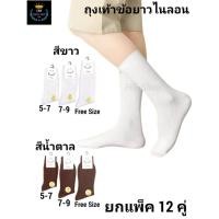 ราคา New ถุงเท้านักเรียน ข้อยาว แพ็ค12คู่ ผ้าไนล่อนลอนเล็ก สีน้ำตาล สีขาว Size 5 7 7 9 Free size (27235986414)